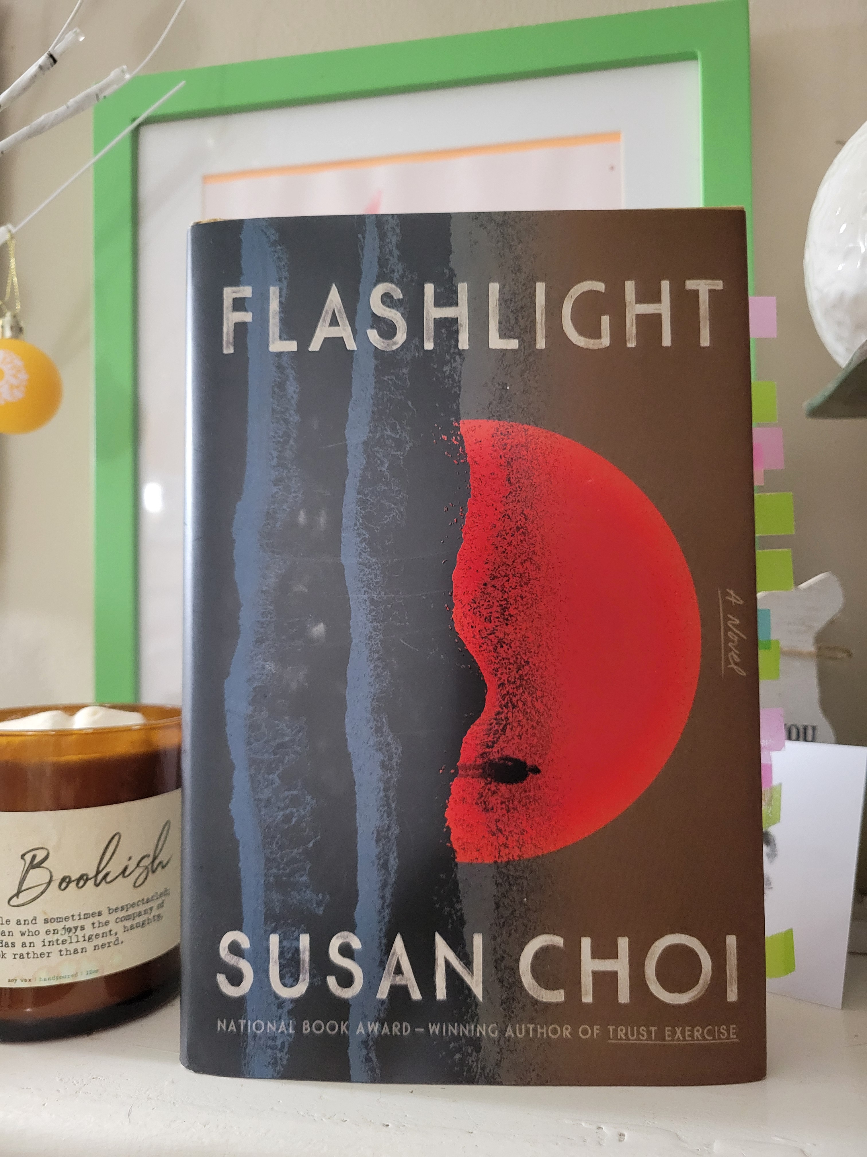 FLASHLIGHT – Susan Choi – A Girl Named Tommi